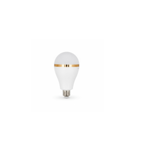 30W Rechargeable LED Bulb